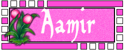 Aamir namen bilder