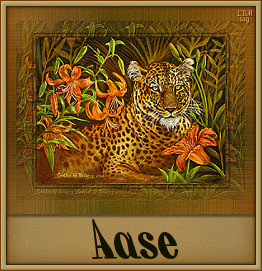 Aase