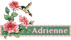 Adrienne namen bilder