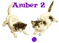 Amber namen bilder