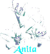 Anita namen bilder