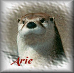 Arie