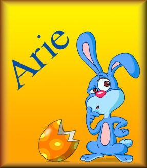 Arie