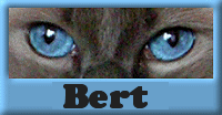 Bert namen bilder