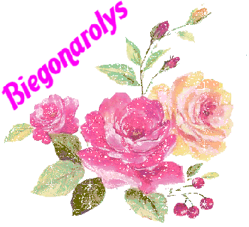 Biegonarolys namen bilder