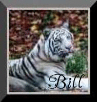 Bill