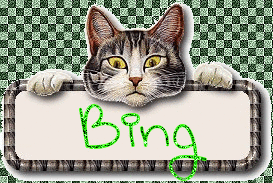 Bing namen bilder