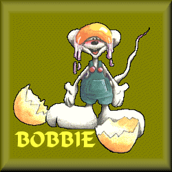 Bobbie namen bilder