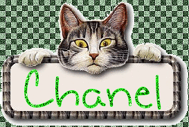 Chanel namen bilder