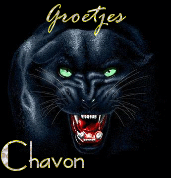 Chavon