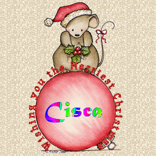 Cisca namen bilder