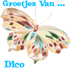 Dico namen bilder
