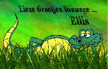 Ellis namen bilder