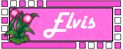 Elvis namen bilder