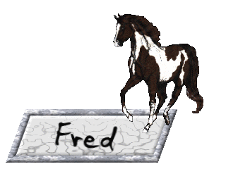 Fred namen bilder