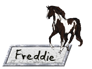 Freddie namen bilder