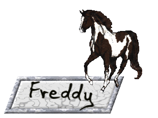 Freddy namen bilder
