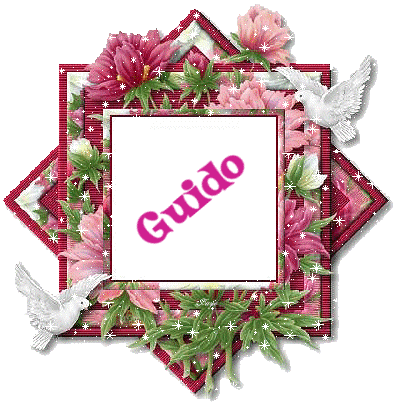 Guido namen bilder