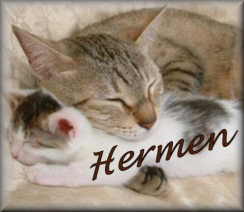 Hermen