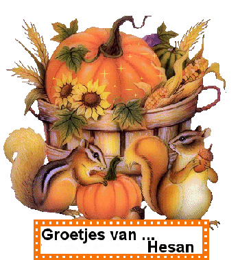 Hesan namen bilder