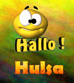 Hulsa