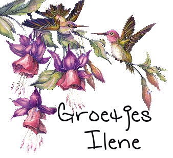 Ilene namen bilder