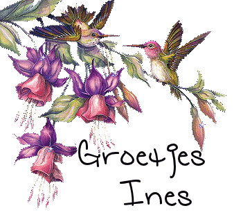 Ines namen bilder