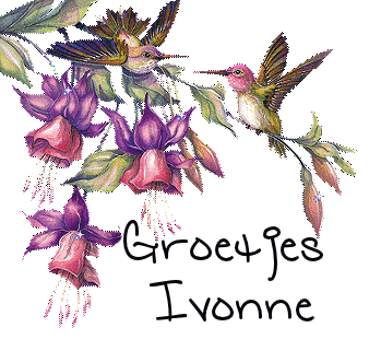 Ivonne namen bilder