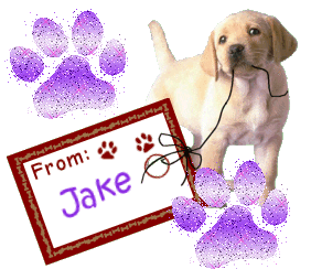 Jake