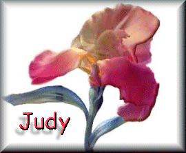 Judy namen bilder