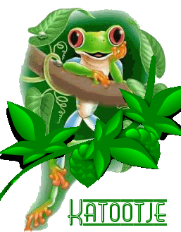 Katootje namen bilder