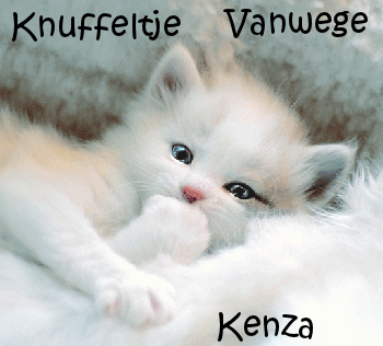 kenza