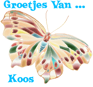 Koos