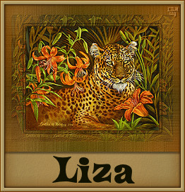 Liza