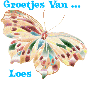 Loes