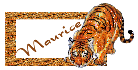 Maurice namen bilder