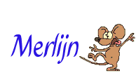 Merlijn