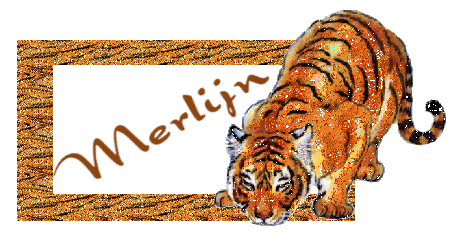 Merlijn namen bilder