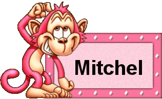 Mitchel namen bilder