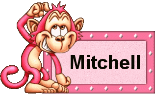 Mitchell namen bilder
