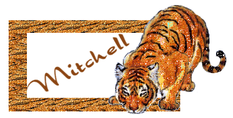 Mitchell namen bilder