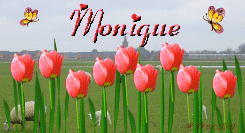Monique namen bilder