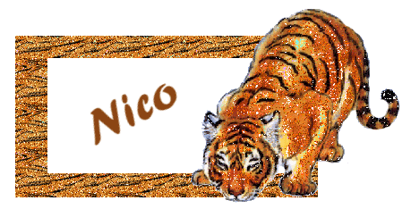 Nico namen bilder