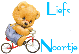 Noortje namen bilder