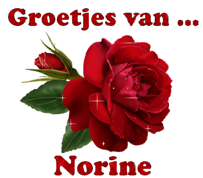 Norine namen bilder