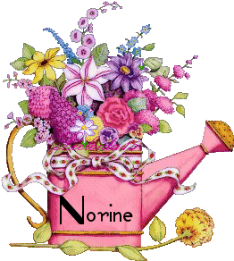 Norine namen bilder