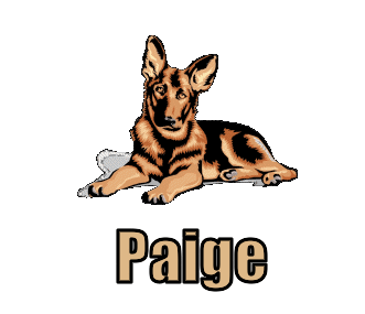 Paige namen bilder