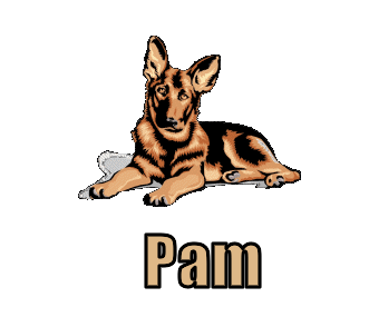 Pam namen bilder