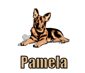 Pamela namen bilder