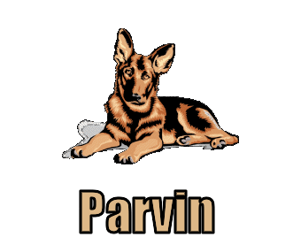 Parvin namen bilder